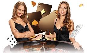 cd 2023 Buffalo King Live Tables aur Slot Features cd 2023 par